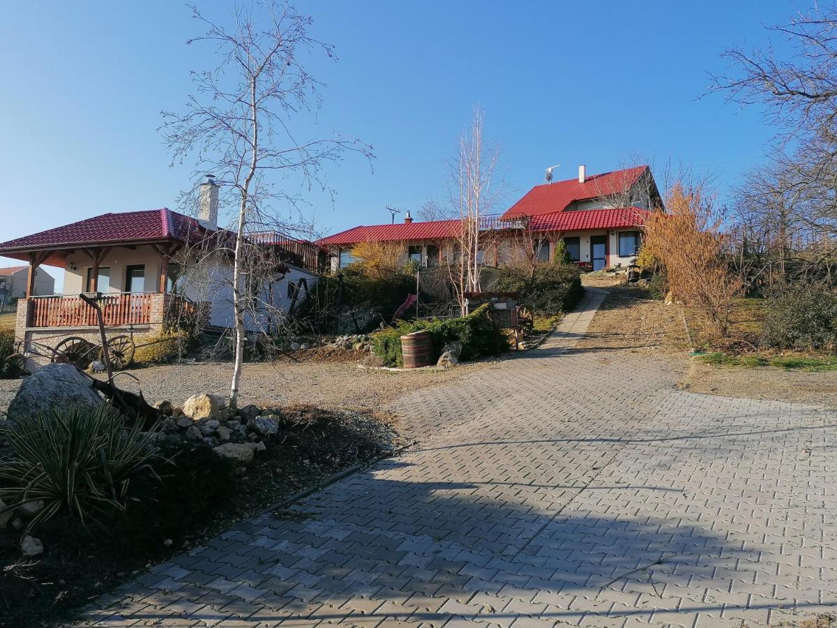 Penzion Nad Jezerem Pavlov Buitenkant foto