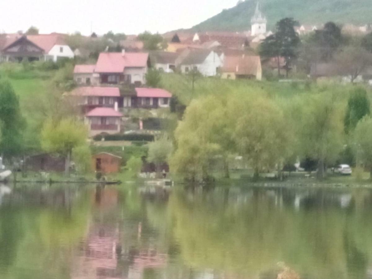 Penzion Nad Jezerem Pavlov Buitenkant foto